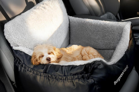 Dog Car Seat for Small Dogs, Soft Pet Car Travel Home Bed under 25 Lbs, Fully Detachable and Washable Cat Booster Carseats with Storage Pockets and Clip-On Leash Portable Carrier,Black