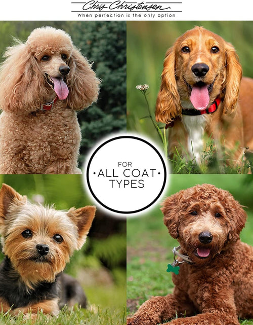 Load image into Gallery viewer, Big G Dog Slicker Brush for Dogs (Goldendoodles, Labradoodles, Poodles), Groom like a Professional, Fluff Detangle Style, Saves Time Energy, Coral, Large
