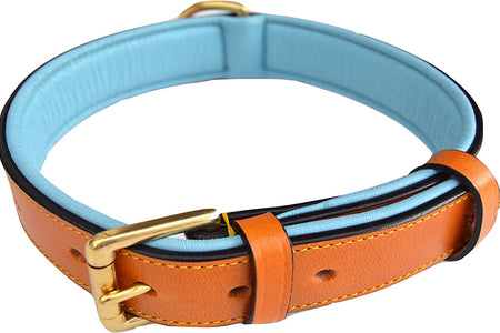 - Luxury Real Leather Padded Dog Collar