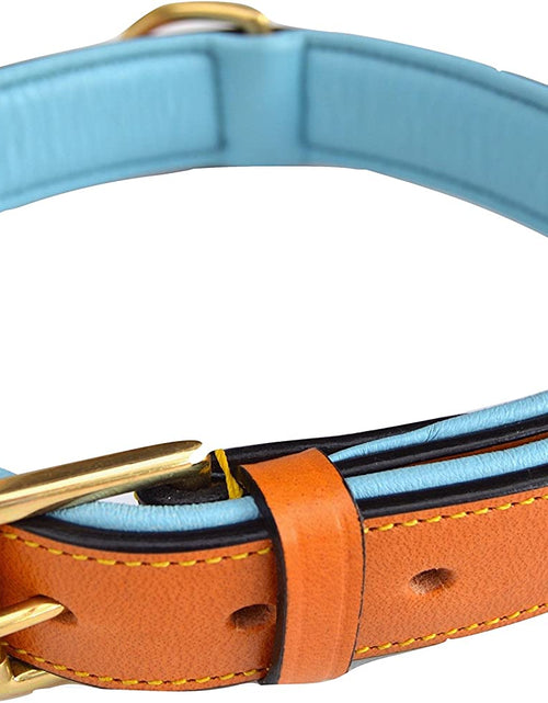 Load image into Gallery viewer, - Luxury Real Leather Padded Dog Collar
