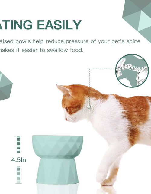 Load image into Gallery viewer, Cat Bowls,Ceramic Cat Bowls anti Vomiting,Raised Food and Water Bowl Set for Cats and Small Dogs,13.5 Oz,Green
