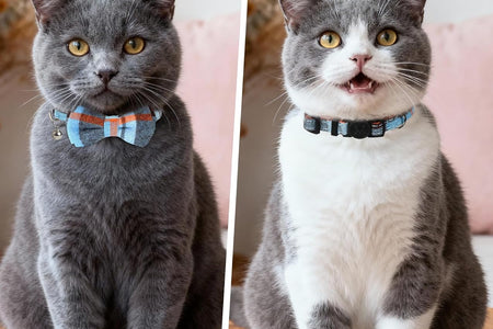 Upgraded Cat Collar with Bells, Breakaway Cat Collars with Bow Tie, 1 Pack Girl Boy Safety Plaid Kitten Collars, Haze Blue