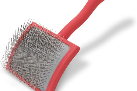 Big G Dog Slicker Brush for Dogs (Goldendoodles, Labradoodles, Poodles), Groom like a Professional, Fluff Detangle Style, Saves Time Energy, Coral, Large