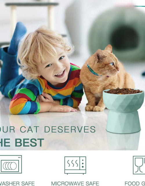 Load image into Gallery viewer, Cat Bowls,Ceramic Cat Bowls anti Vomiting,Raised Food and Water Bowl Set for Cats and Small Dogs,13.5 Oz,Green
