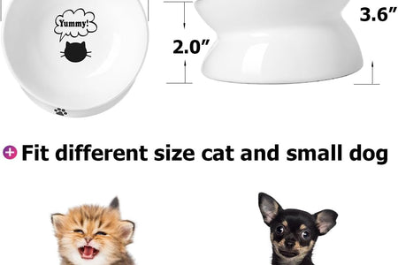Cat Bowl anti Vomiting, Raised Food Bowls, Tilted Elevated Bowl, Ceramic Pet Food Bowl for Flat Faced Cats, Small Dogs, Protect Pet'S Spine, Dishwasher Safe (5 Inches, White)