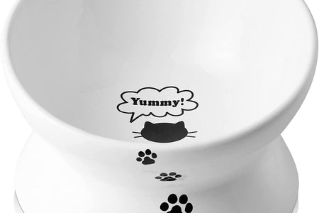 Cat Bowl anti Vomiting, Raised Food Bowls, Tilted Elevated Bowl, Ceramic Pet Food Bowl for Flat Faced Cats, Small Dogs, Protect Pet'S Spine, Dishwasher Safe (5 Inches, White)