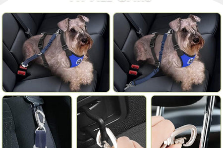 Dog Seat Belt for Car, Adjustable Dog Car Harness for Large Medium Small Dogs, Soft Padded & Breathable Mesh Dog Seatbelt with Car Strap and Carabiner (Blue,M)
